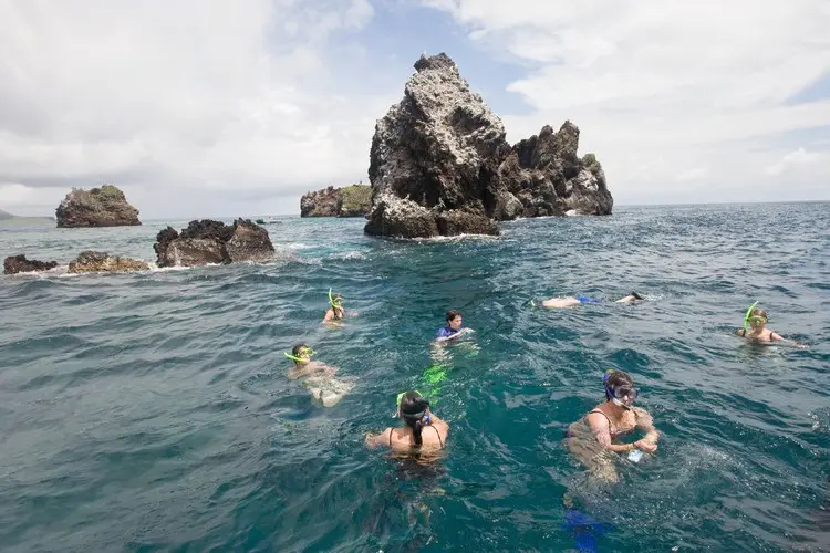 Floreana Snorkeling
