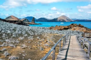 bridge isla bartolome