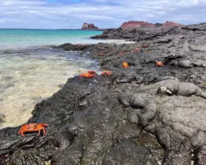 sullivan bay galapagos