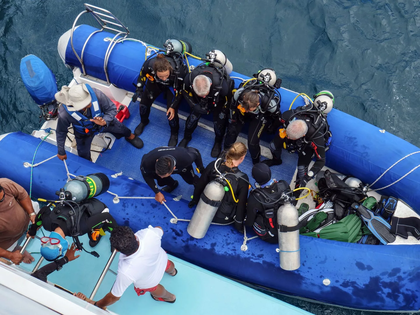 Diving from the Aqua in the Galapagos