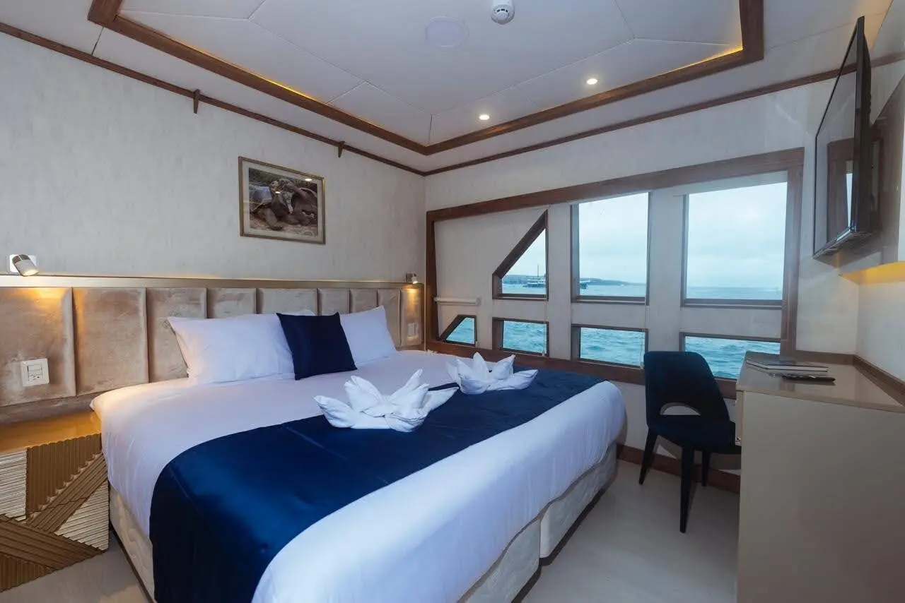 Double bed cabin with large ocean view window on the Tiburon Explorer