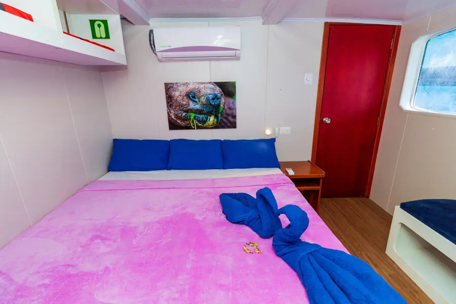 Comfortable twin bed layout inside a Danubio Azul liveaboard cabin