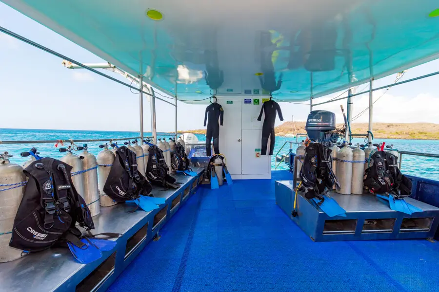 Diving deck setup with scuba tanks and gear racks on the Danubio Azul
