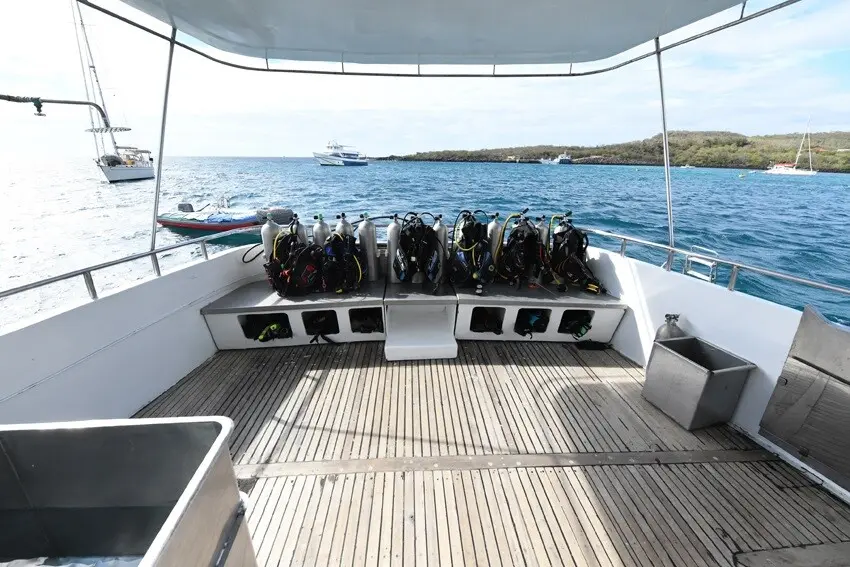 Diver entering the water from the Humboldt Explorer