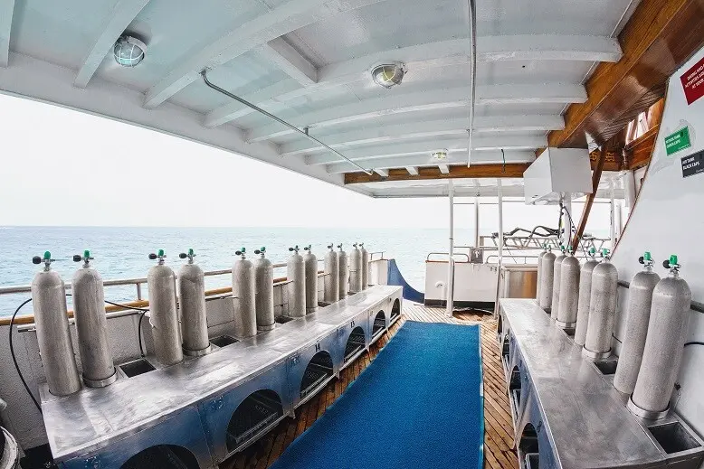 Diving from the Galapagos Sky