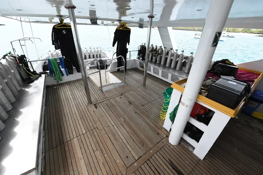 Underwater scene on a Humboldt Explorer dive