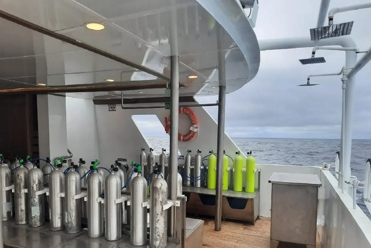 Divers exploring underwater marine life from the Tiburon Explorer