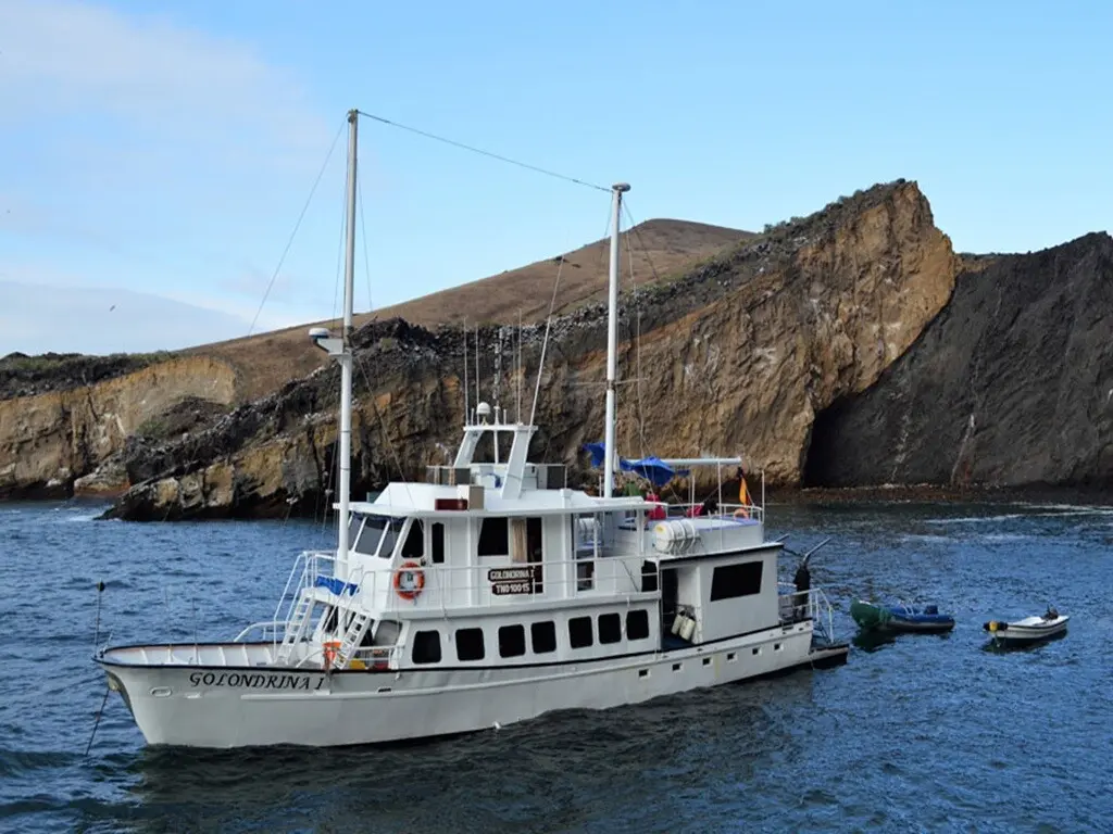 Deck of the Golondrina