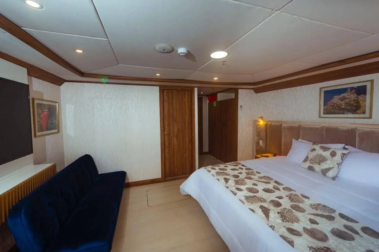 Twin bed cabin layout with ocean views on the Tiburon Explorer