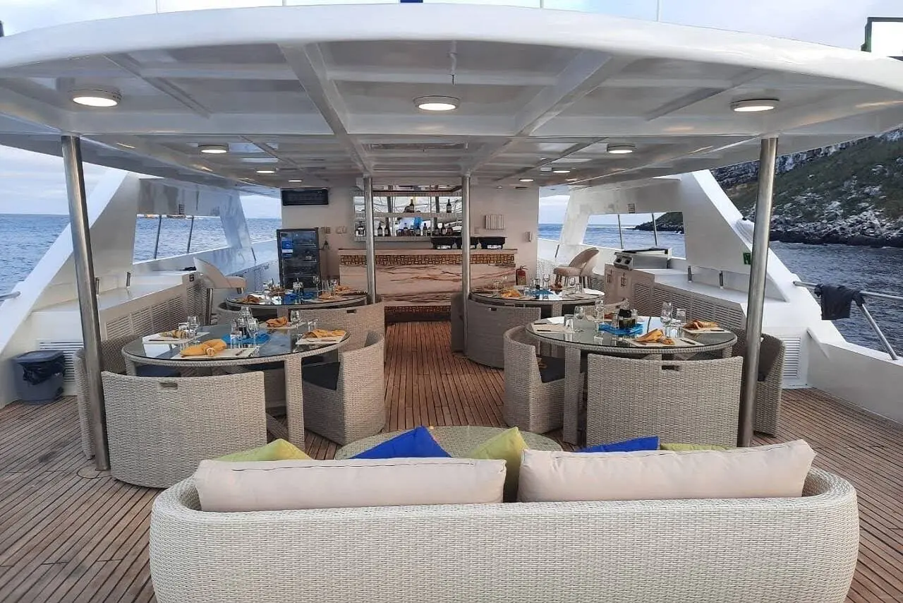 Freshly prepared buffet lunch served inside the dining area of the Tiburon Explorer