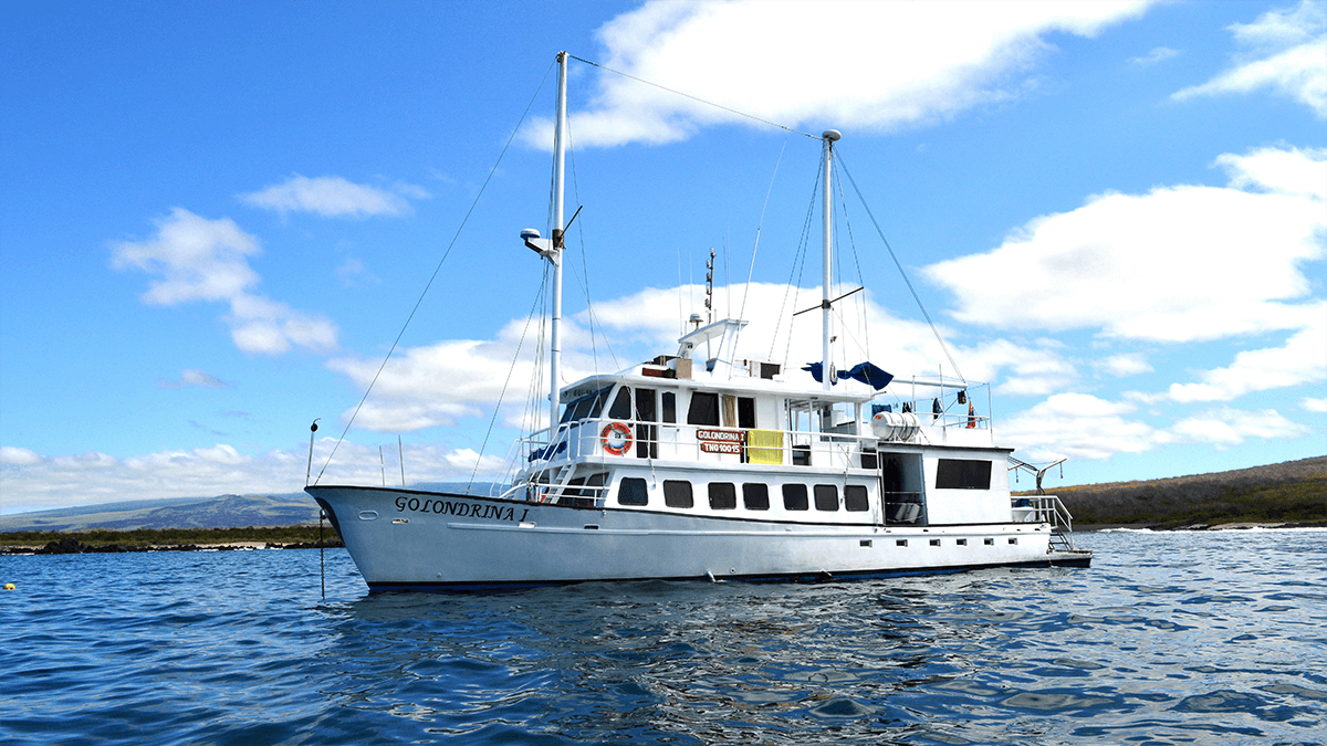 Golondrina motor yacht in the Galapagos