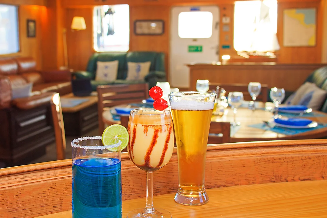 Bar on board the Cachalote Explorer