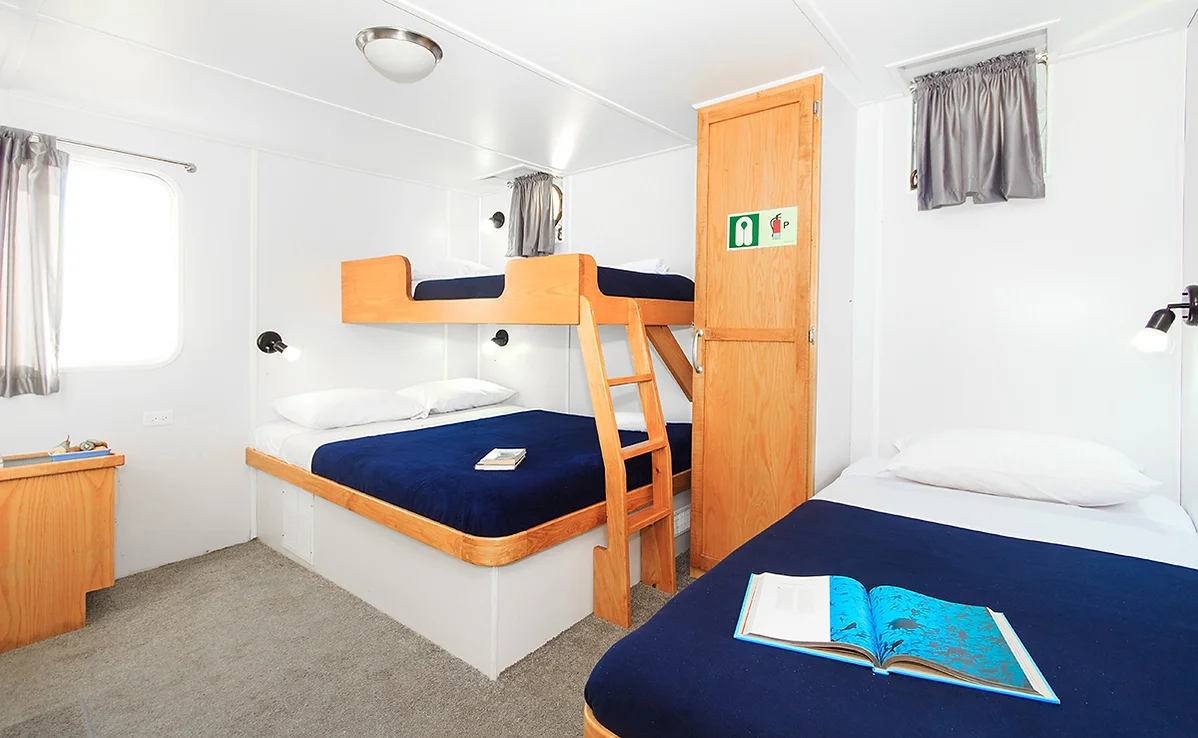 Cabin on the Cachalote Explorer
