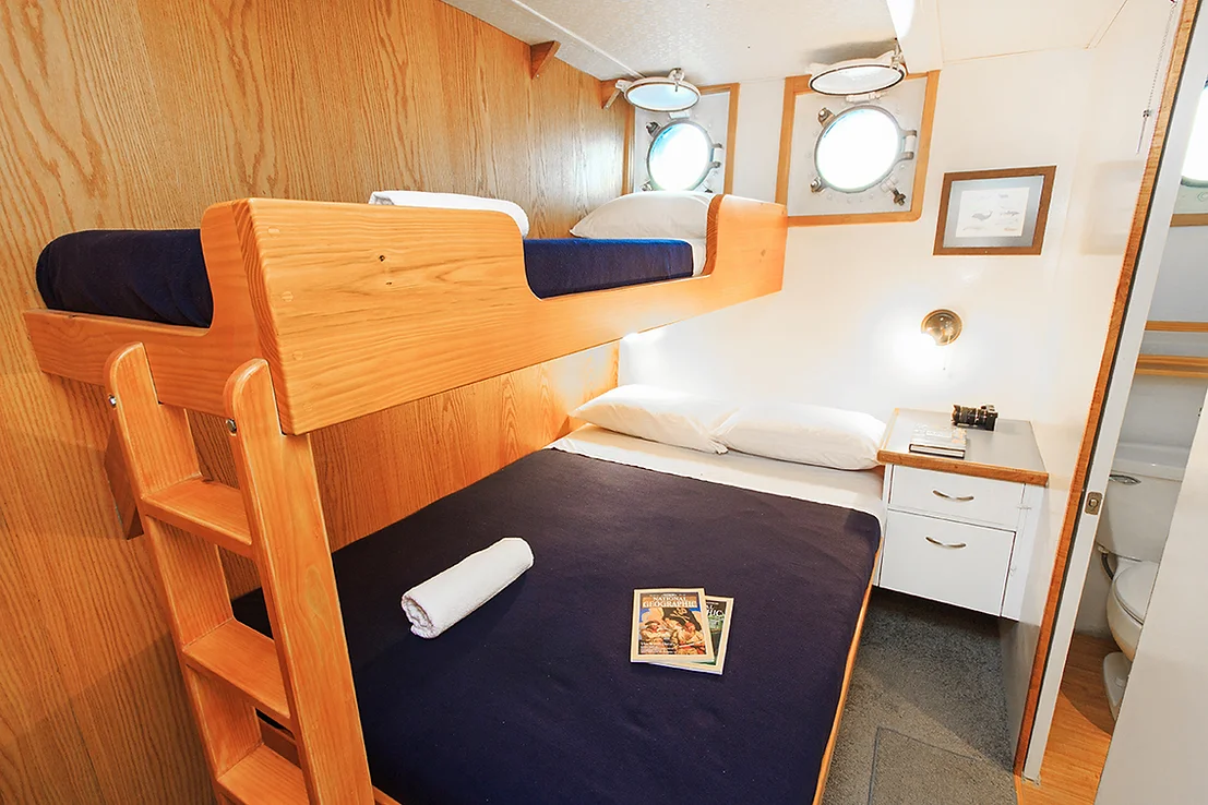 Twin berths on the Cachalote Explorer