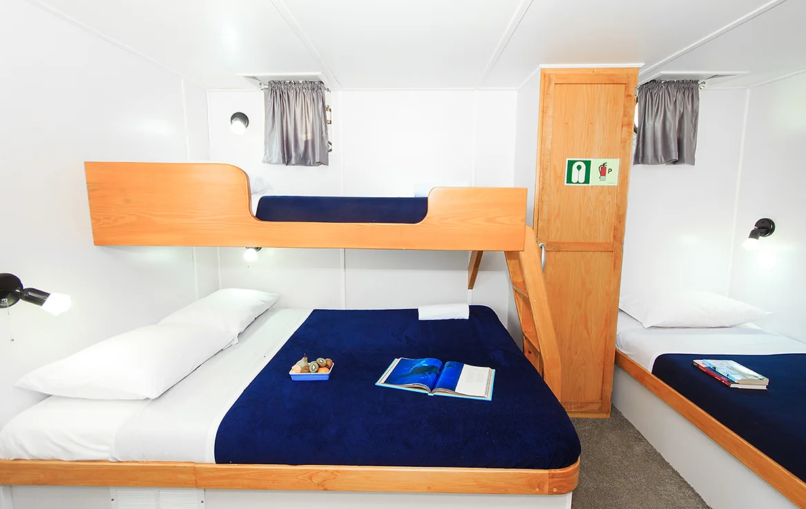 Queen cabin on the Cachalote Explorer
