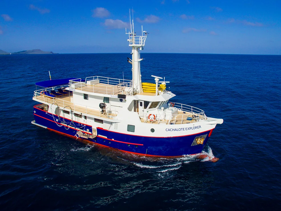 Cachalote Explorer motor yacht in the Galapagos