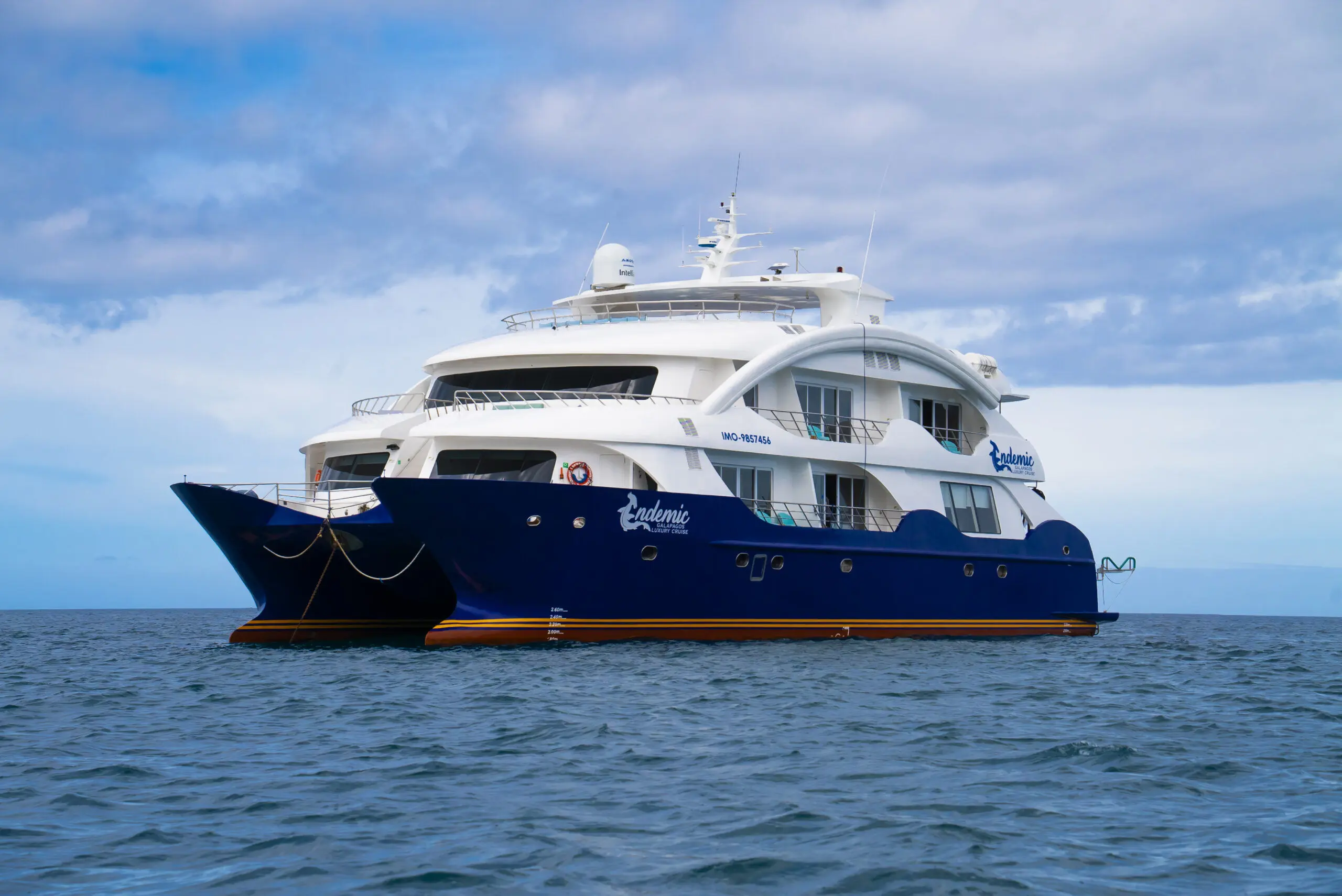 Naturalist cruising on board the Endemic