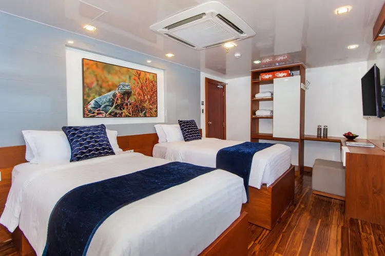 Cabin on the Infinity yacht