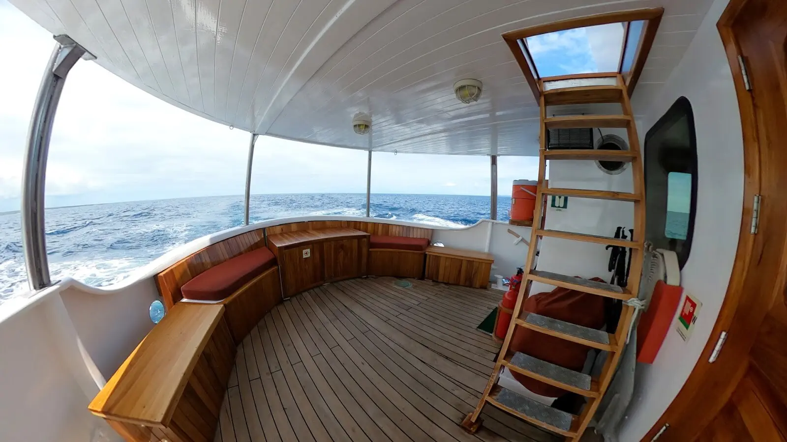 The Samba on a naturalist cruise